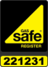 GS Reg logo long